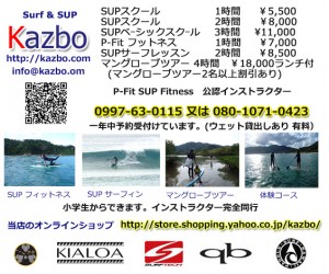 スタンドアップパドル、SUP、パドルサーフィン、体験、スクールを奄美大島で！
