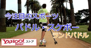 パドル・スケボー、ランドパドル、パドルスケート、陸上のパドル