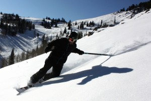 Snow Paddle / Snow Stick