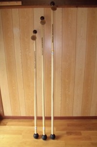 ビーチマウンテンランドパドル