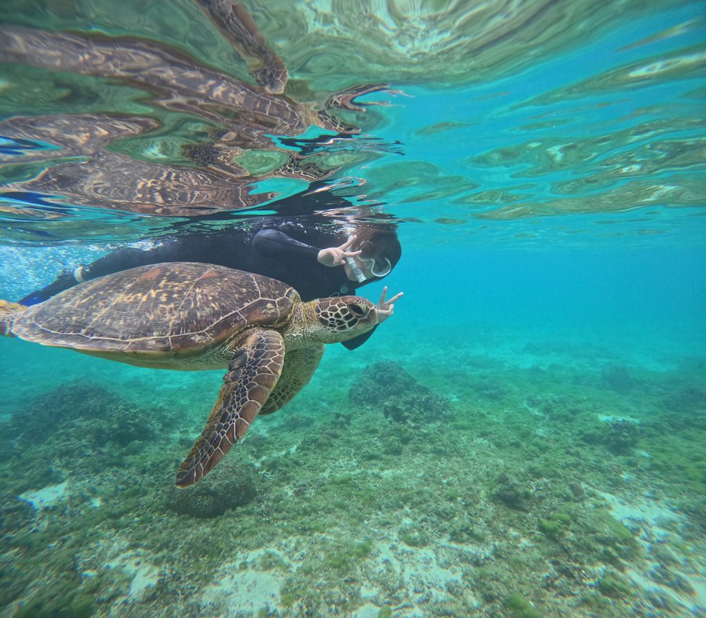 ウミガメシュノーケルツアー